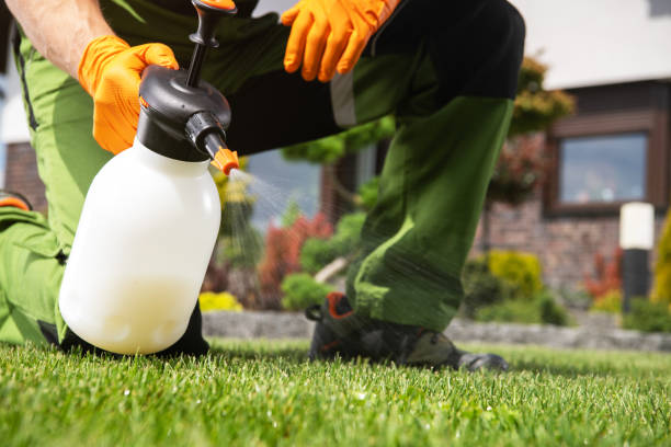 Best Commercial Pest Control Services  in Trinidad, CO