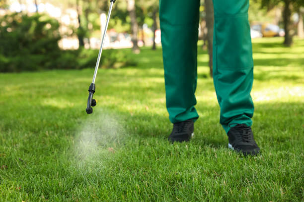 Best Mosquito Control Services  in Trinidad, CO