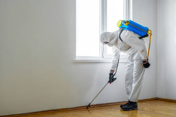 Best Pest Prevention Services  in Trinidad, CO