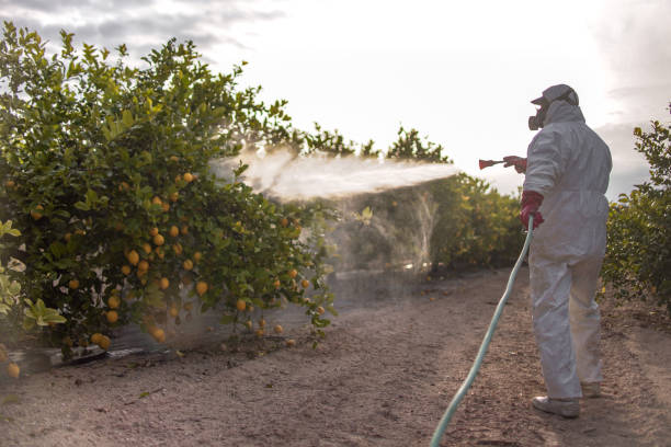 Best Pest Removal Services  in Trinidad, CO