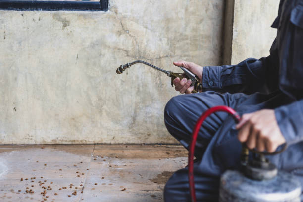 Best Exterminator Services  in Trinidad, CO